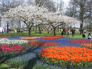 Foto-de-Keukenhof