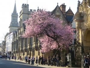 oxford_sprintime