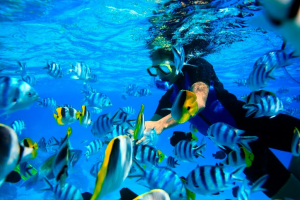 bora bora 2