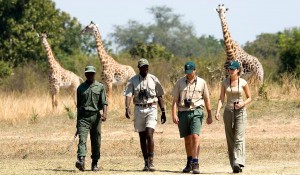 South Luangwa