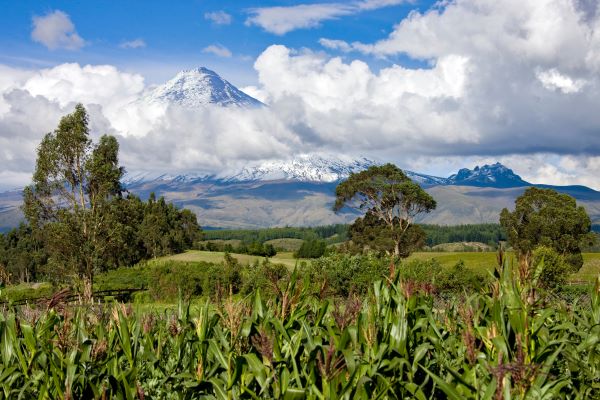 Vista del volcán Cotopaxi, destino turístico en Ecuador
