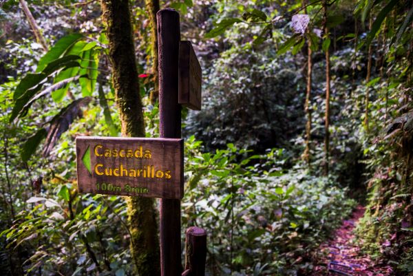 Cascada de Cucharillos en la selva tropical del Choco