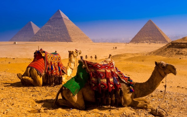 Foto de paisaje de desierto en Egipto, con camellos y las pirámides de fondo